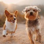 Tyler Dowell - @callmeplzzzzxx - Instagram