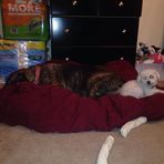 Tyler Dragoo - Facebook
