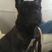 Tyler Dudley - Facebook