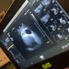 Ty Dunham - @tylerdunham0 - TikTok
