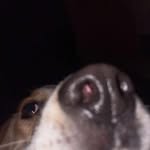 Tyler Duong - @tylerduong830 - Instagram