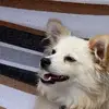 user9708770407615 - @tylerduong64 - TikTok