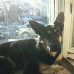 Tyler Easter - @tyty1956 - Instagram