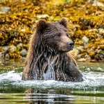 Tyler Eddy ~ Inspiring Others - @365alaska - Instagram
