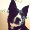 tyler - @tyler.regan4 - TikTok