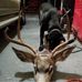 Tyler Eldred - Facebook