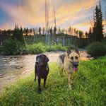 Tyler Elmore - @te_idaho - Instagram
