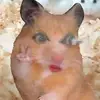 Tyler - @tylerelmore989 - TikTok