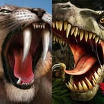 Tyler Escobar - @carnivore_hunter - Instagram