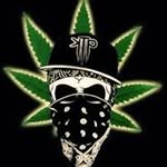 Tyler Escobar - @xx_tyler204_xx_ - Instagram