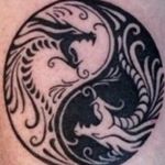 J. Tyler Ewald - @asteroidwall - Instagram