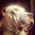 Tyler Fillinger - @filly7 - Instagram