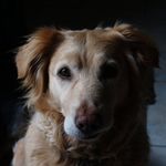 Tyler Findlay - @tylerfindlayart180 - Instagram