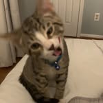 Tyler Flora - @tylertylertylre - Instagram