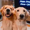 Forrest_Tyler - @forrest_tyler - TikTok