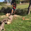 Tyler Forrest - @tylerforrest62 - TikTok