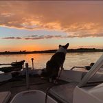 Tyler J Foss - @tylerfoss8 - Instagram