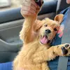 Tyler Frederickson - @tylerfrederickson7 - TikTok