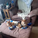 Tyler Freeman - Facebook