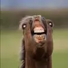 tylerfreeman4925 - @tylerfreeman4925 - TikTok