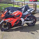 Tyler Frew - @tyler_frew2007 - Instagram
