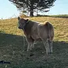 Tyler Friedrich - @tyler.friedrich7 - TikTok