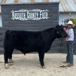 Tyler Friedrich - @tyler_cows - Instagram