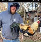 Tyler Frith - Facebook