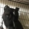 Tyler.frith - @tyler.frith - TikTok