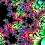 Tyler Furman - @furmanshpongled69 - Instagram