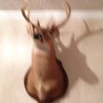 Tyler Garrard - @tyler_garrard25 - Instagram