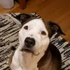 Tyler Garrett - @tyler.garrett2 - TikTok