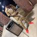 Tyler Gates - Facebook