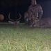 Tyler Gates - Facebook