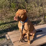 Tyler Gehbauer - Facebook