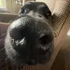 Tyler Geers - @tylergeers - TikTok