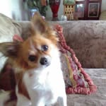 tyler gentry - @gentry6332 - Instagram
