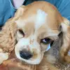 Tyler Gentry - @tyler.gentry57 - TikTok