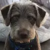 tylergentry149 - @tylergentry149 - TikTok