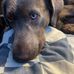 Taylor Gerrard - Facebook