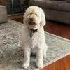 Tyler Gerhardt - @tyler.gerhardt - TikTok