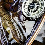 Tyler Gipe - @tyler_gipe - Instagram