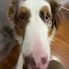 Tyler Glaser - @tyler.glaser - TikTok