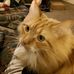 Tyler Glick - Facebook
