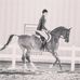 Tyler Goble - Facebook