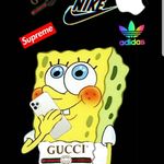 tyler goldsmith - @goldsmith7333 - Instagram