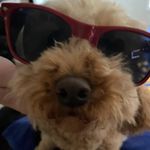 Tyler Goldsmith - @goldsmith3462 - Instagram
