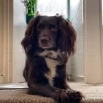 Tyler Tylerg - @tyler__goodall - Instagram