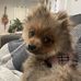 Tyler Grams - Facebook