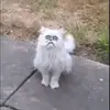 tylergriggs77 - @tylergriggs77 - TikTok
